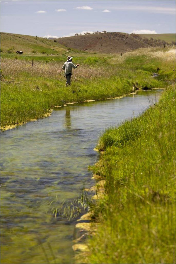 102 Snowy mountain fly fishing