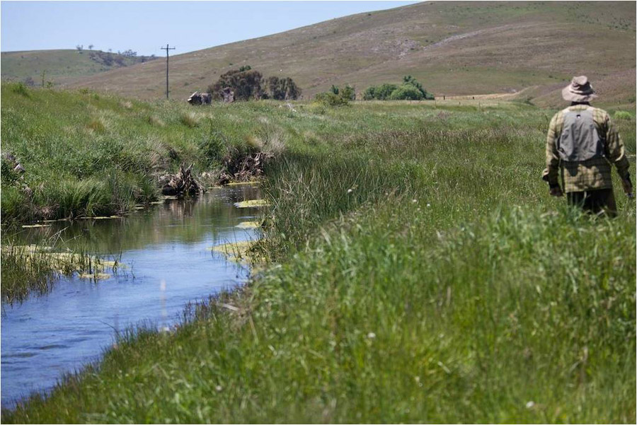 105 Snowy mountain fly fishing