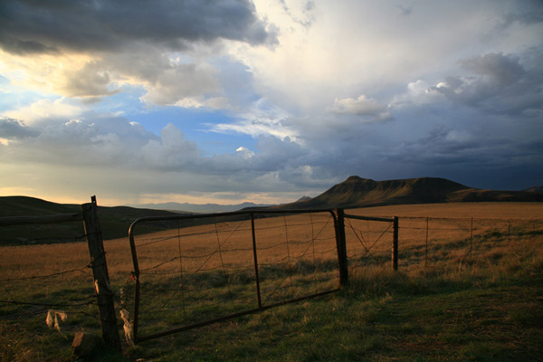 10fencespostsgates