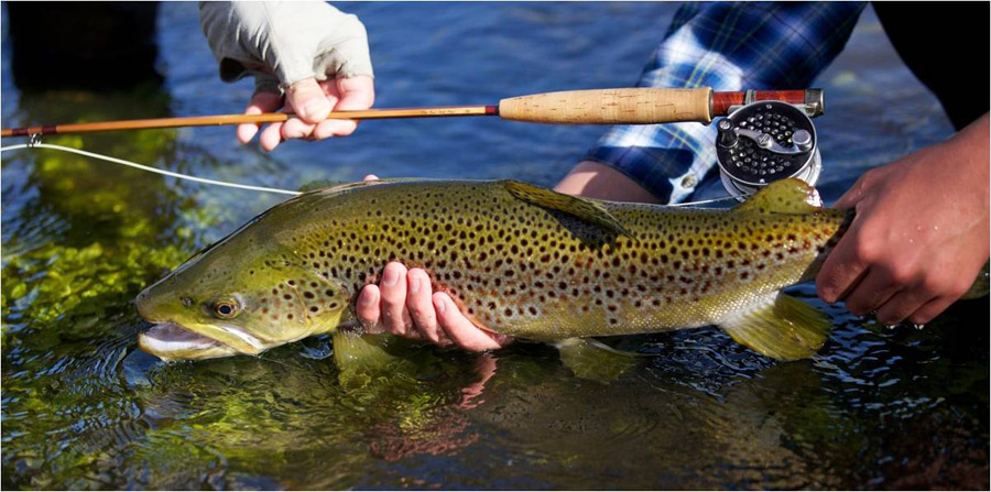 111 Snowy mountain fly fishing