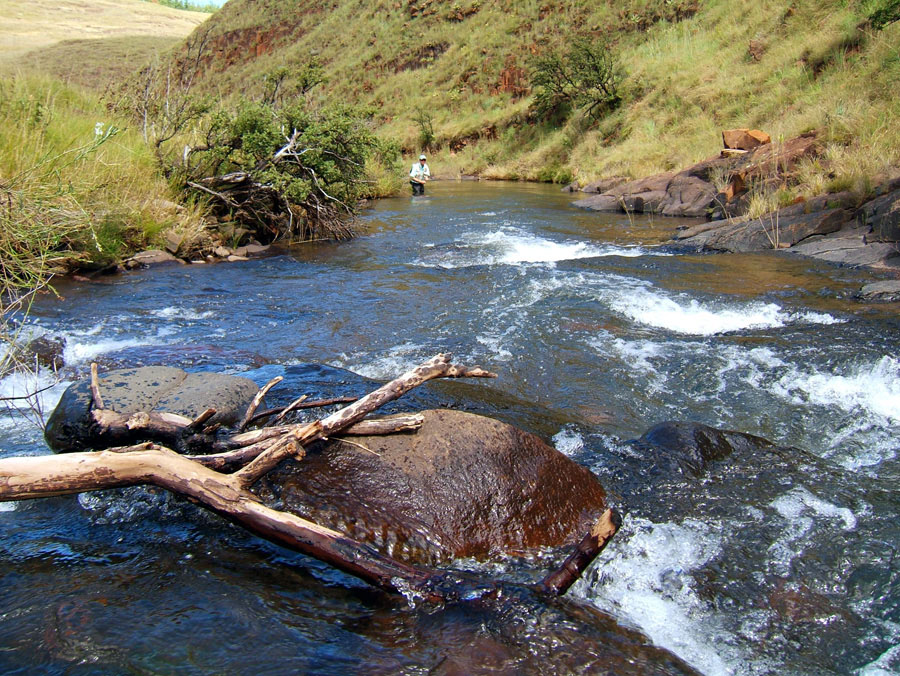 12 Hawerspruit River near Vrederus