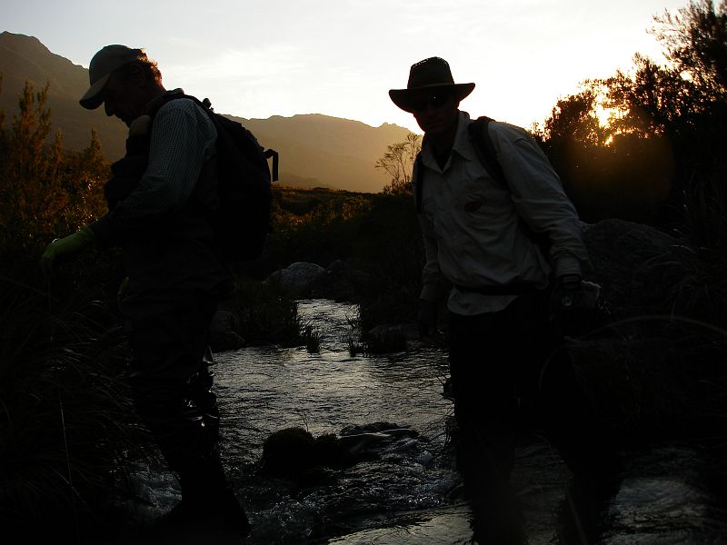 1477 Unusual fly fishing pictures Leaving the River