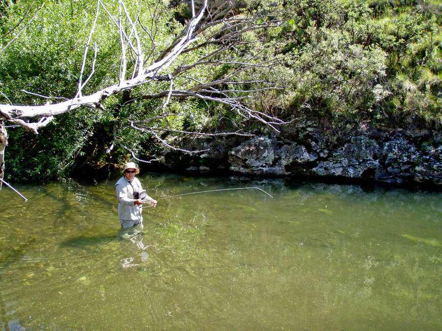 178 Bokspruit river flyfishing 3