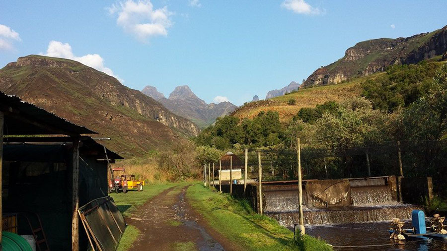 19 JK PeakTrout-2-this morning