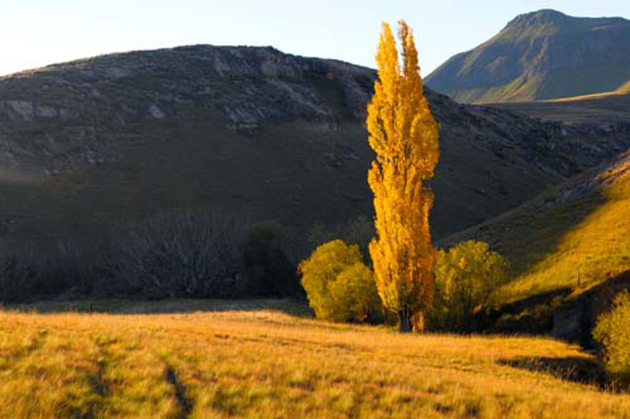 1Autumn Bokspruit valley