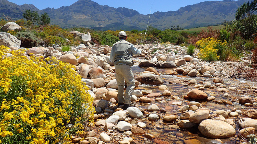 1 Lourens River landscape PB220509