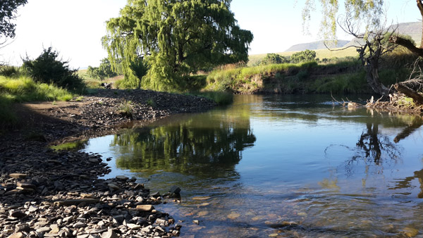 20140211 sterkspruit river 080237