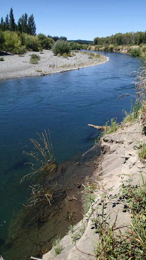 Tongariro River NZ P20803971