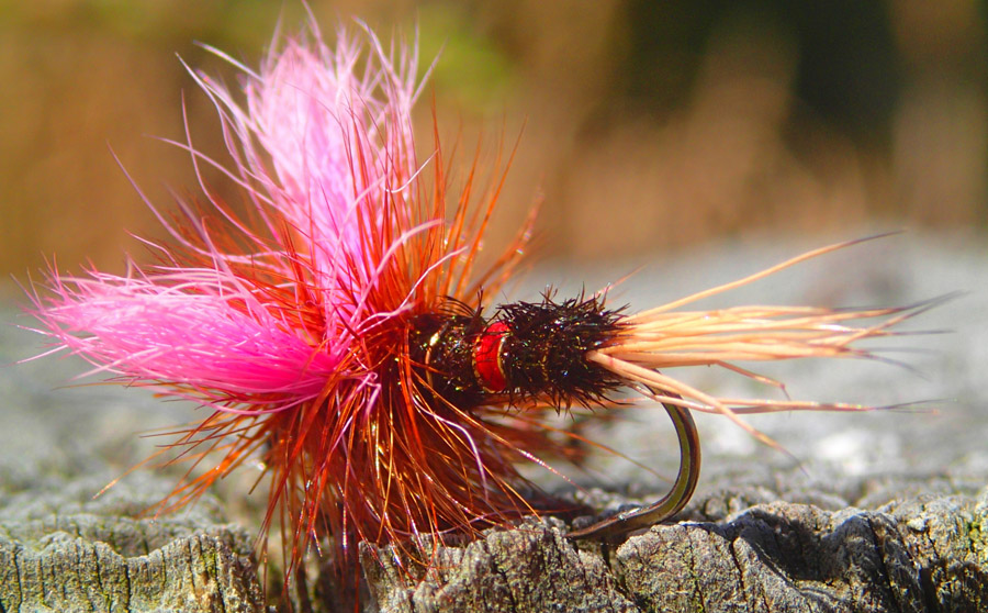 Tongariro River flies NZ 1