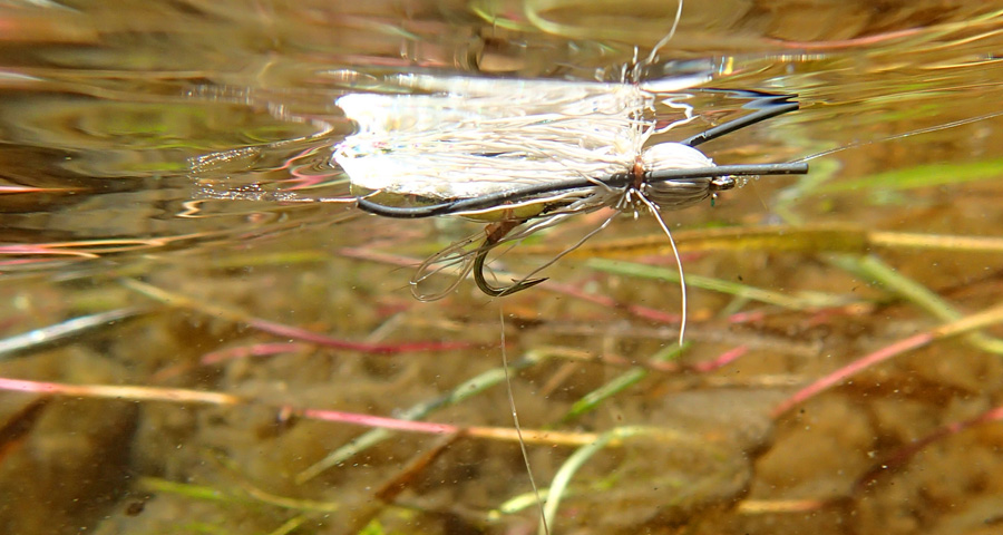 Tongariro flies New Zealand 2