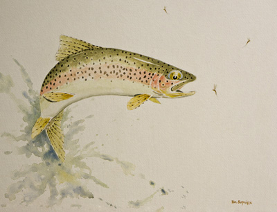 28  lEAPING  TROUT DSC00066 1