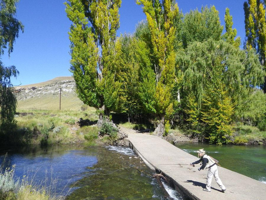 Sharland on the  Bokspruit River Eastern cape