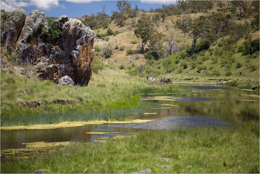 20 Monaro Region Australia flyfishing