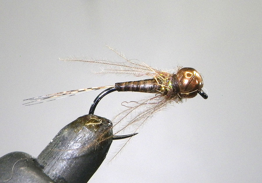 3 Quill jig IMG 5900