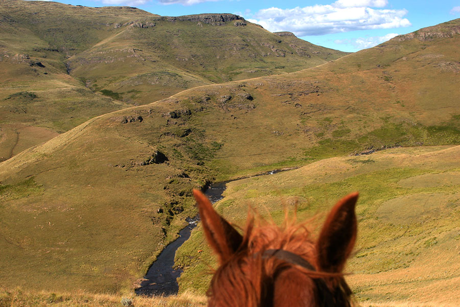 Fly fishing on Horseback to summit of the southern Drakensberg