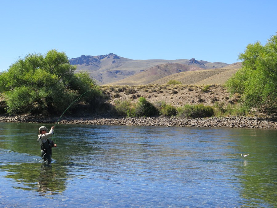 2 Limay River Patagonia