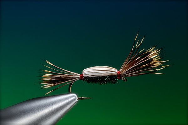 A Barry Ord Clarke fly