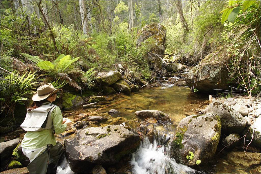 18 Snowy Mountains stream