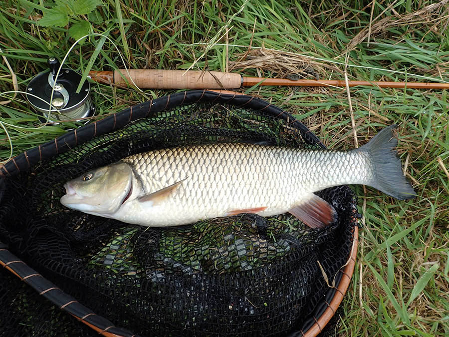 18 CB 5 CB chub 