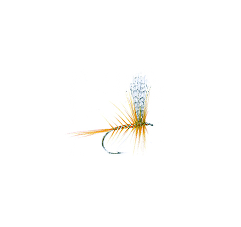 Troutlore Dry Fly Hackle Pack - Mixed - Troutlore Fly Tying Store