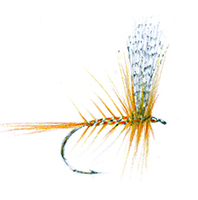 QUEEN OF THE WATERS DRY FLY