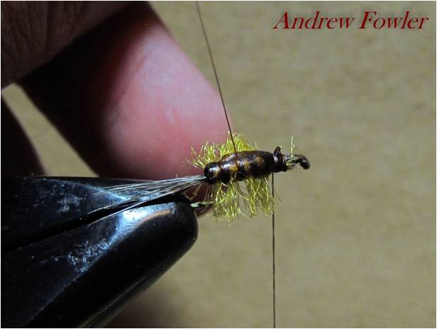 20 Andrew Fowler Nymph 1