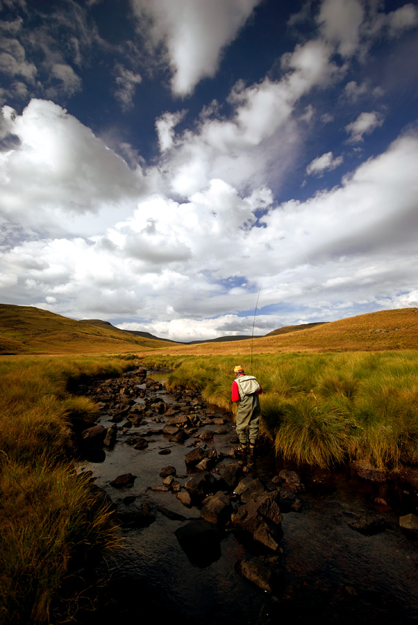 225 Bell River near source