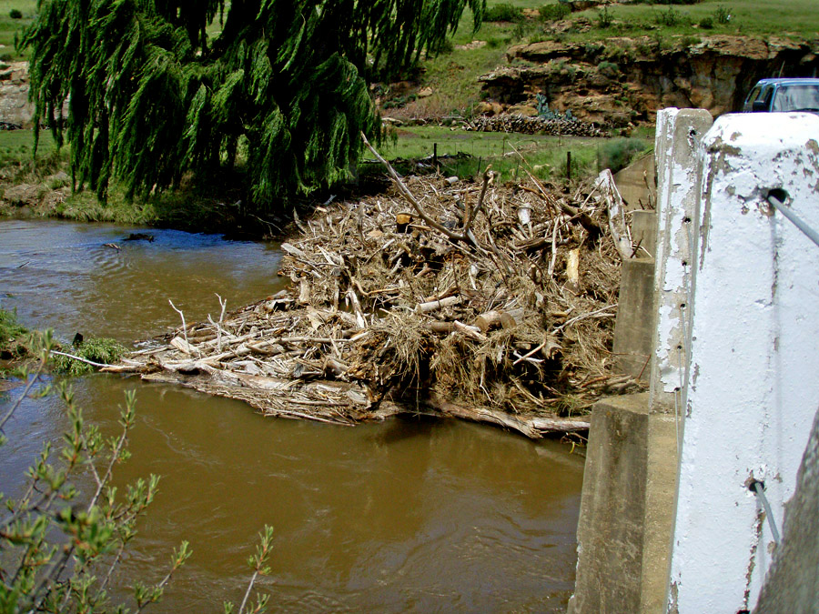 242 Bokspruit River Flood 3