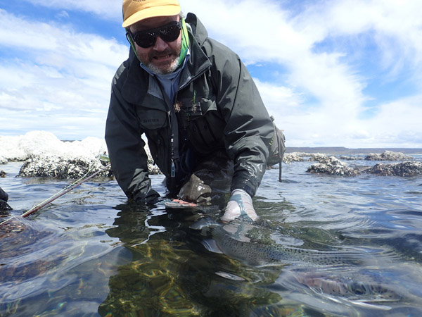 335644 Lake Strobel Patagonia 9