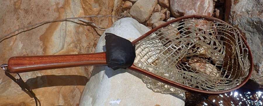 43 Broding landing net 1 PB220542