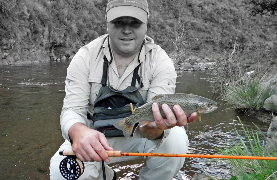 81005 Gateshead rainbow trout  14