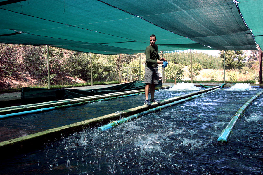 9 Lourensford hatchery Canon 101