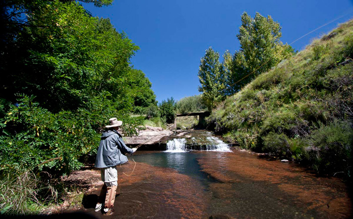 Ballochstream