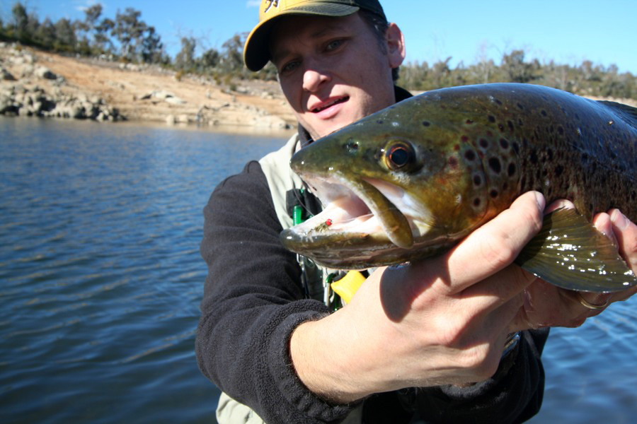 Danny Spelic with a nice brown trout from Jindabyne