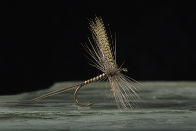 Dryfly