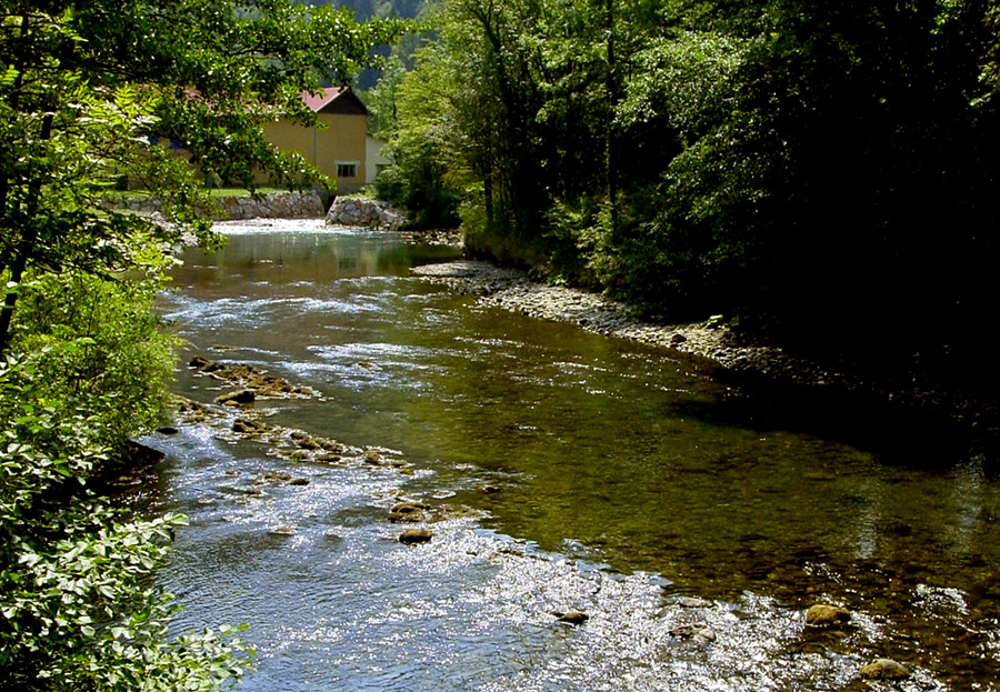 Fly fishing Croatia 2