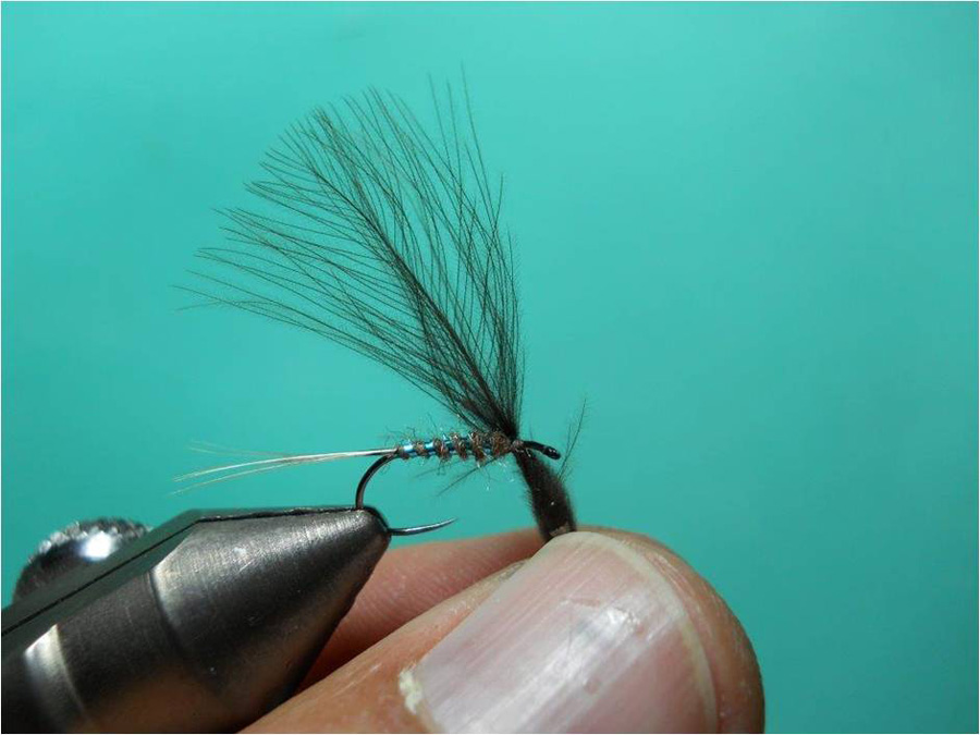 Korrie-Broos CDC-Mayfly4