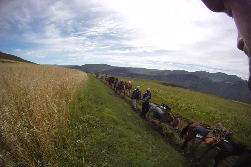 Lesotho-donkey-trail