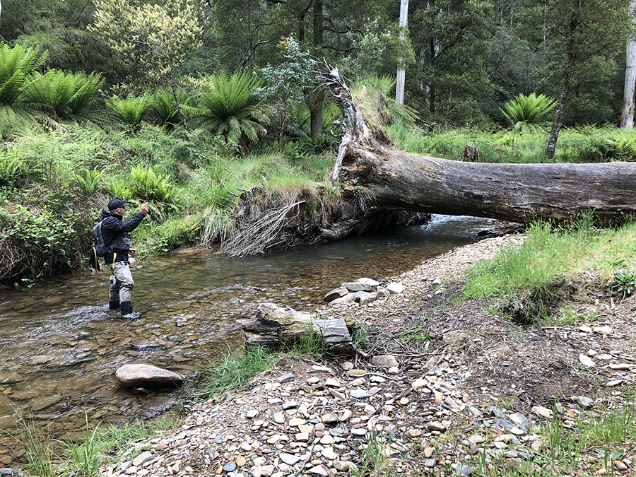 1 THE AUTHOR ON Upper Goulburn 1