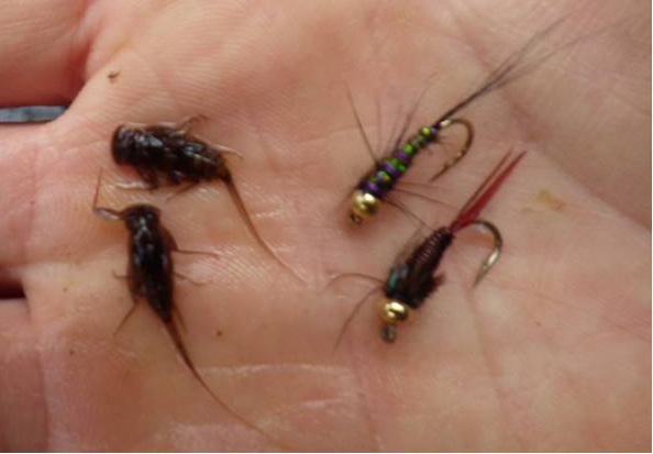 13TROUT FLIES FOR KENYA