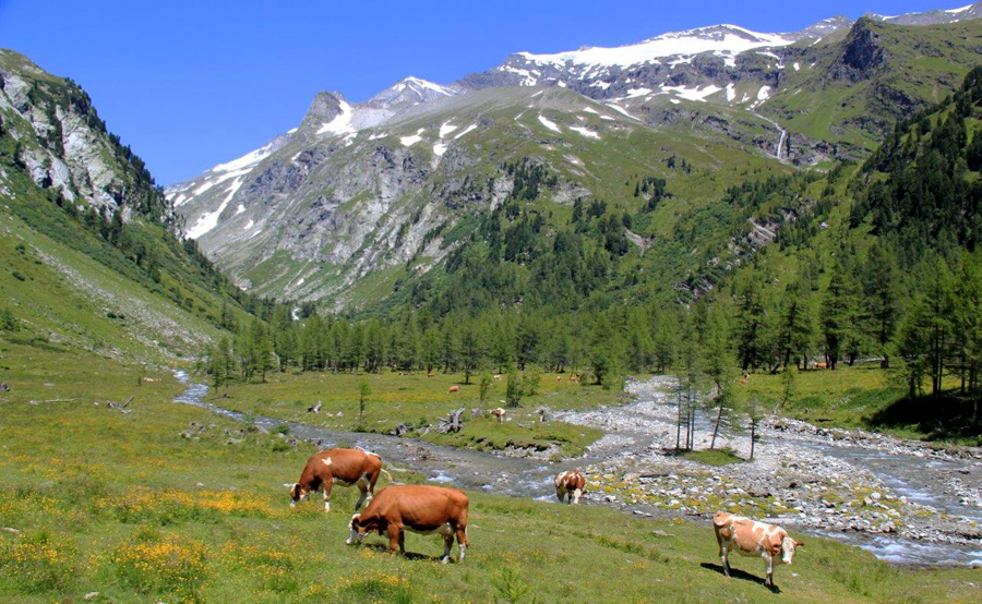 ALPINE-STREAMS austrian valley