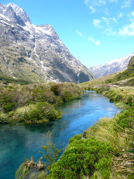 Gilbert NZ landscape 1