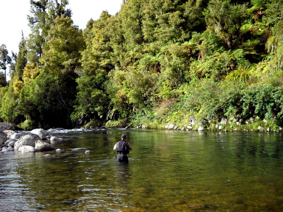 Gilbert NZ landscape 2