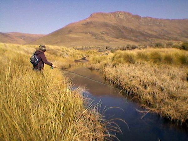 Karoo20110813