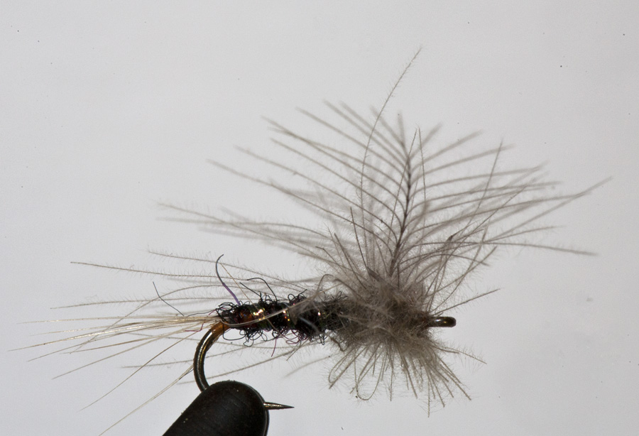 Korrie Broos-CDC dry fly