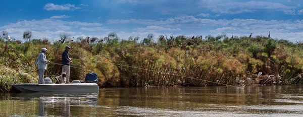 ZAMBEZI TIGER FLY FISHING 2