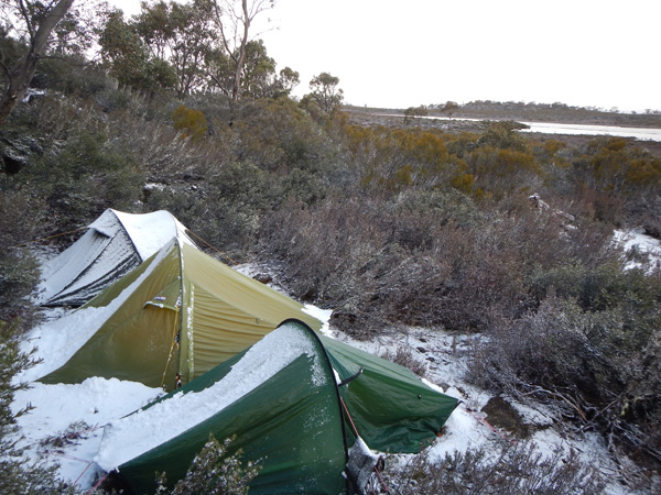 tasmania01tamania0