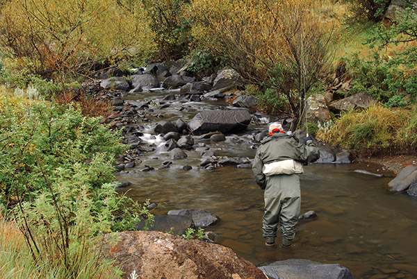 SWITH Maclear fishing rain