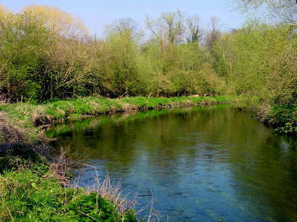 Wandle image