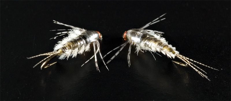 G Nymph 12